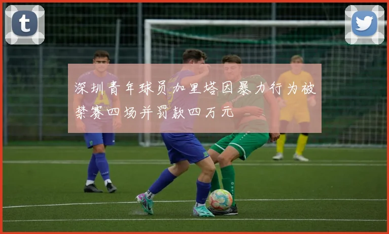 深圳青年球员加里塔因暴力行为被禁赛四场并罚款四万元